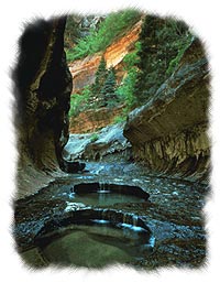 Utah Banks